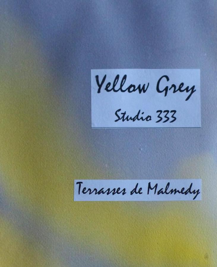 Les terrasses de Malmedy Studio 333 Yellow Grey Exterior foto